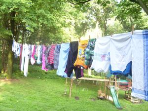 Ever since our dryer broke, Susie's been hanging laundry on the front yard of our Patterson Ave home, could this be the problem?